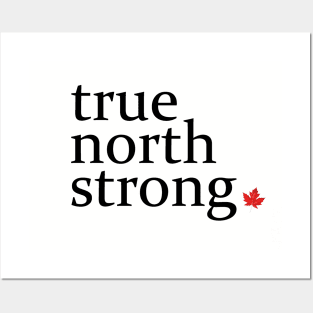 True North Strong 2 Posters and Art